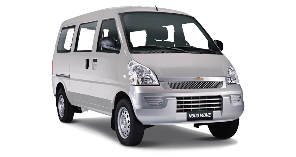 N300 Move