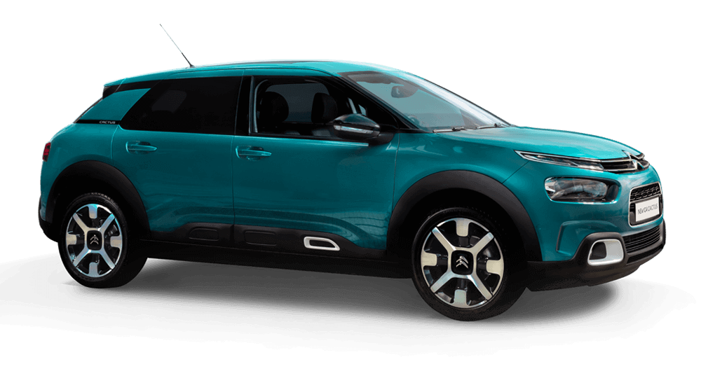NEW C4 CACTUS