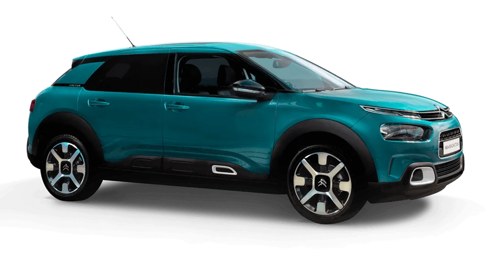 NEW C4 CACTUS