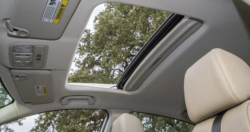 Techo panorámico abierto de un auto con vista hacia árboles desde el interior